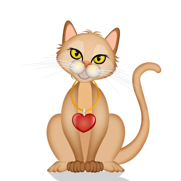 Kot Kołnierzem Sercem — Zdjęcie stockowe
