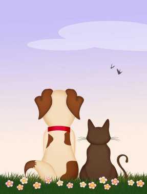 Yavru köpek ve kedi çimlerde.