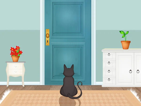 Cat Waiting Master Front Door — Stock Photo, Image