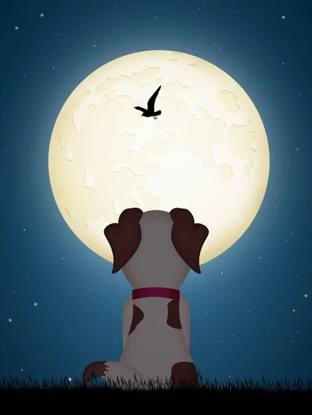 月を見る子犬のイラスト — ストック写真
