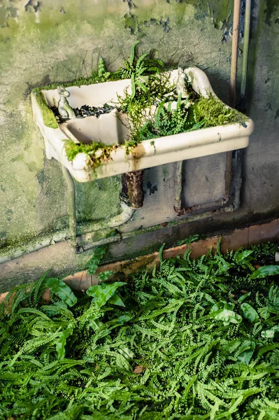 Zurück zur Natur — Stockfoto