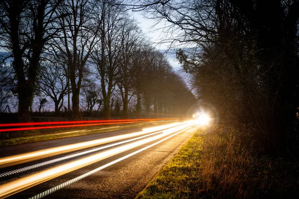 木の通りに光の道がある夜の道路 — ストック写真