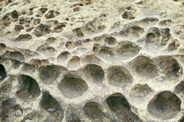 Closeup rock erosion holes sea wall. — Stock Photo, Image