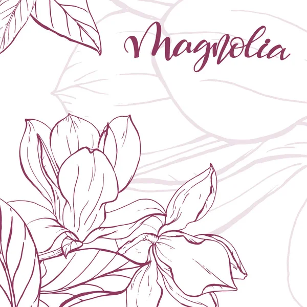 Sketch linear magnolia blossom. — Stock Vector