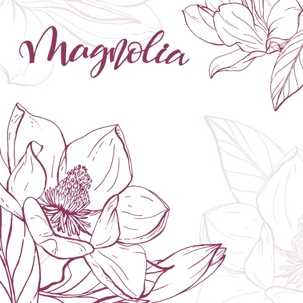 Bosquejo lineal magnolia flor . — Archivo Imágenes Vectoriales