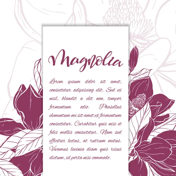 Bosquejo lineal magnolia flor . — Archivo Imágenes Vectoriales