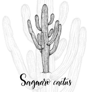 Free Free 200 Cactus Outline Svg SVG PNG EPS DXF File
