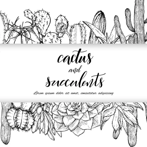 Cacto do deserto para colorir  Cactus clipart, Clipart black and