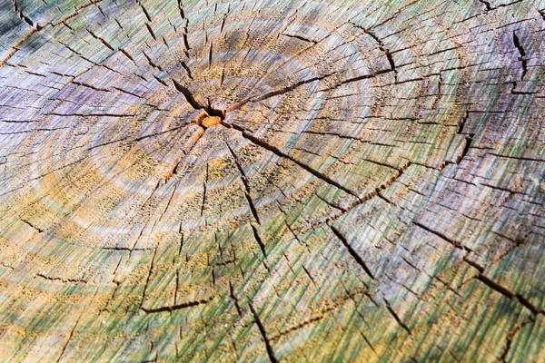 Colored cracked wooden texture with circles — Stock Photo, Image