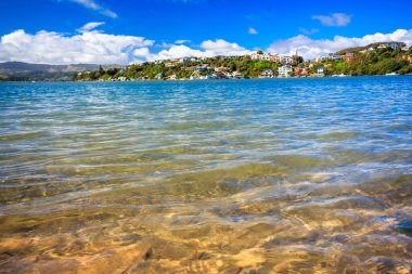 güzel deniz ve tepeler manzara. Yer: Yeni Zelanda