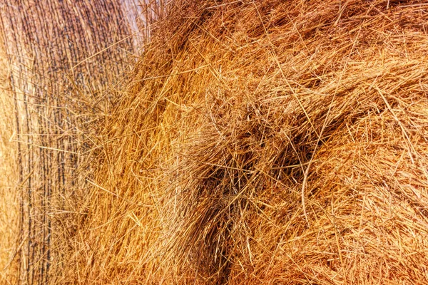 Heuhaufen auf dem Hof - Textur — Stockfoto