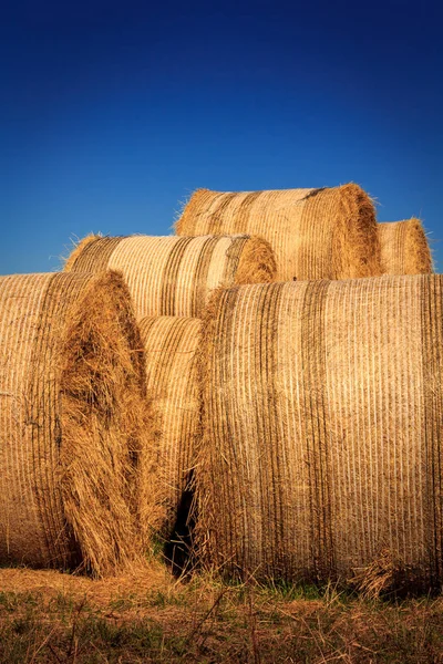 Outono paisagem com palheiro na fazenda — Fotografia de Stock