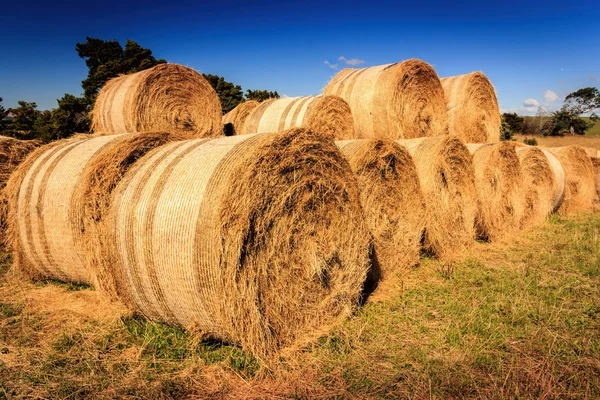 Outono paisagem agrícola com palheiro — Fotografia de Stock