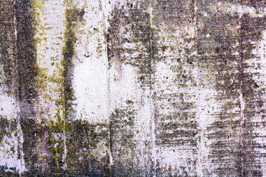 Soyut gri beton arka plan dokusu