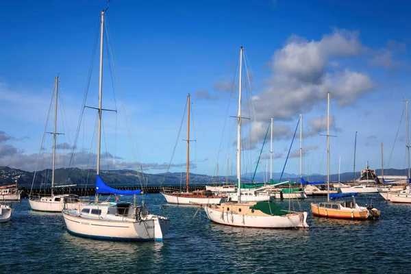 Paysage avec yachts — Photo