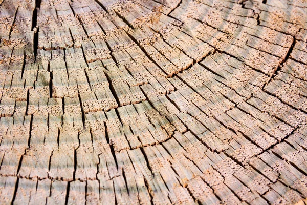 Brown cracked wooden texture with circles — Stock Photo, Image