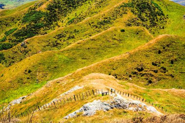 yeşil tepeler tarım arazileri