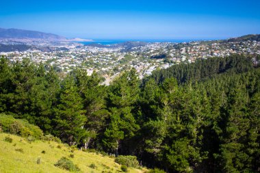 Wellington orman yürüyüş