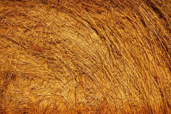 农场的干草堆-纹理 — 图库照片