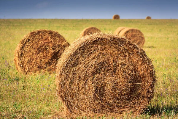 Paisagem de outono com palheiro — Fotografia de Stock