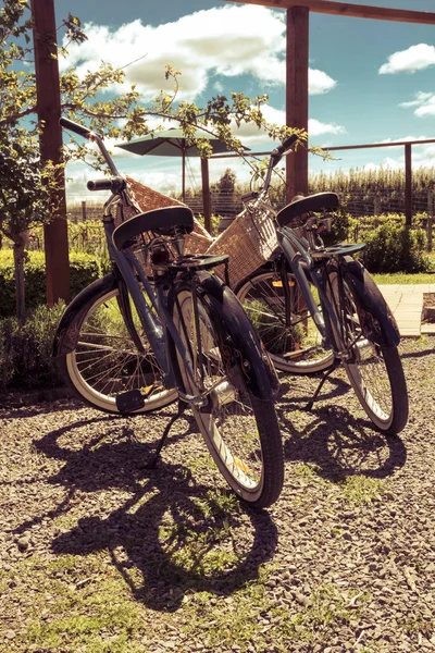 Retro stil cyklar - vinproducent tur — Stockfoto