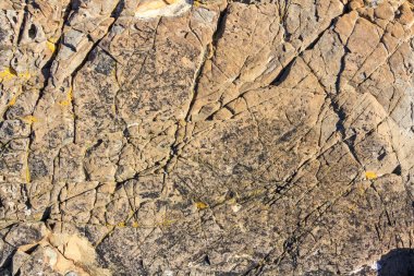 kayaların doku arka plan