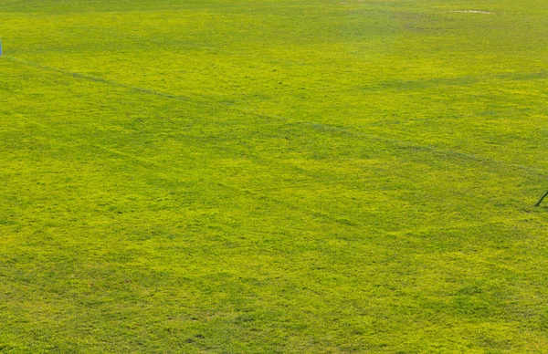 Yeşil çimen dokusu arkaplanı — Stok fotoğraf