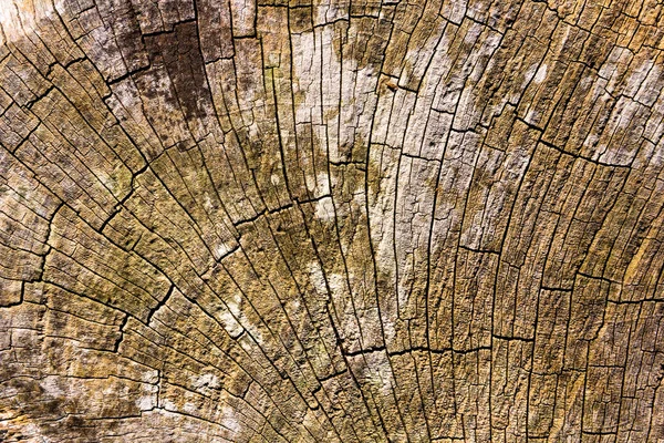 Brown cracked old wooden texture — Stock Photo, Image