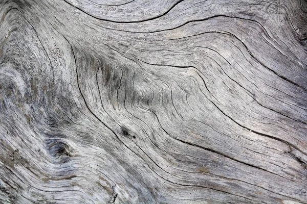 Черно-белая потрескавшаяся деревянная текстура — стоковое фото