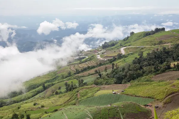 Bulutların ve sislerin arasındaki dağ