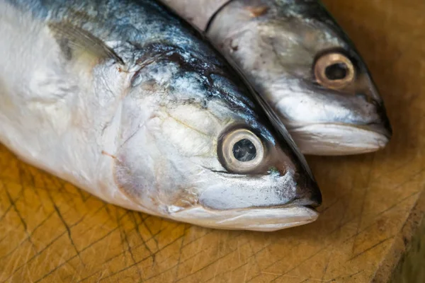 Ahşap doğrama tahtası üzerinde taze uskumru balığı.