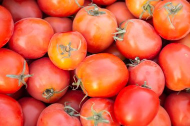 Kırmızı domatesleri karıştır tepside organik çiftlik, Tayland pazarı.