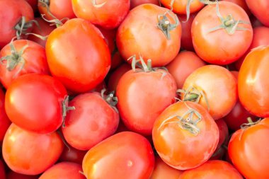 Kırmızı domatesleri karıştır tepside organik çiftlik, Tayland pazarı.