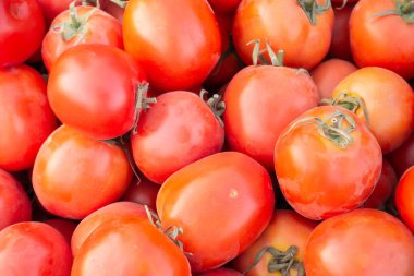 Kırmızı domatesleri karıştır tepside organik çiftlik, Tayland pazarı.