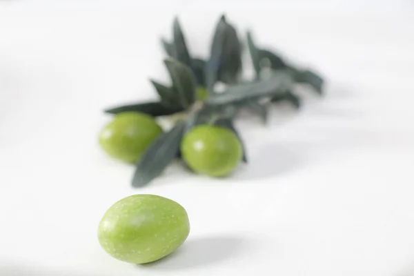 Aceitunas frescas cosechadas con ramitas de olivo jóvenes sobre fondo de madera —  Fotos de Stock