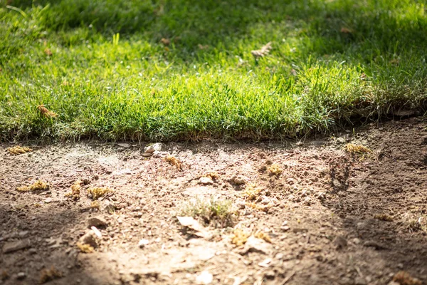 Rollrasen im Hinterhof auftragen — Stockfoto