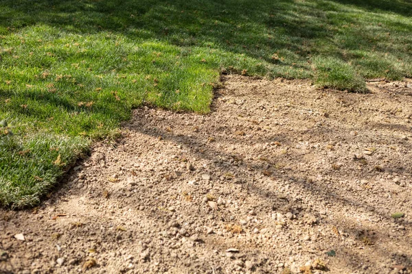 Frisch verlegter Rasen im Garten — Stockfoto