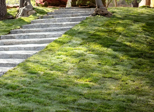 Ступени садового камня со свежевыложенной травой в саду — стоковое фото