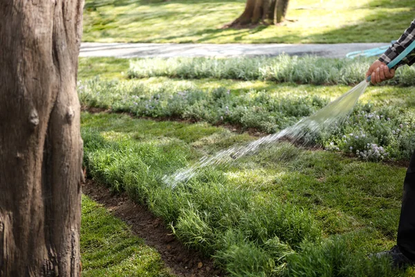 Gartenbewässerung im Frühling — Stockfoto