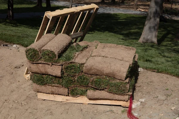 Rasenrasen in Rollen bereit für den Garten- oder Landschaftsbau — Stockfoto