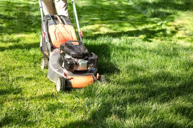 Yaz ve bahar sezonu bahçede güneşli çim biçme