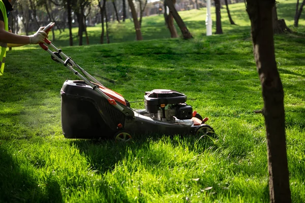 Rasenmäher mähen grünes Gras im Garten. Frühjahrsgartenarbeit — Stockfoto