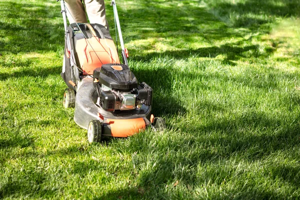 Sommaren och våren säsongen soliga gräsklippning i trädgården — Stockfoto