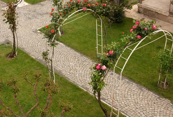 Pink Spring Flowers Training Arched Arbour Trellis Garden Path Neat — Stock Photo, Image
