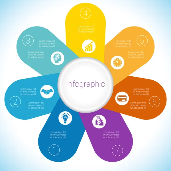 Camomila modelo infográfico pétalas coloridas sete posições . — Vetor de Stock