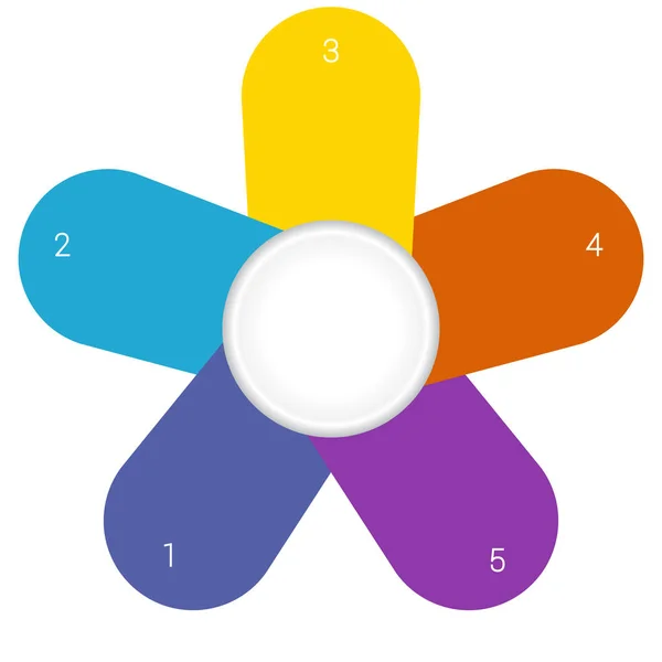 Camomile infographic template colourful petals 5 positions — Stock Photo, Image