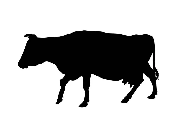 Vector silhouette of going cow — Stock Vector