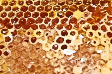 Tatlı bal ile petek.