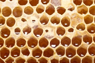 Tatlı bal ile petek.