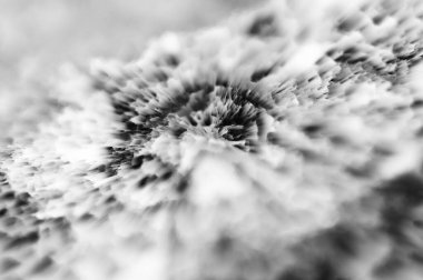 Soyut siyah-beyaz parlak bulanık arkaplan.